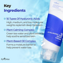 Isntree Hyaluronic Acid Moist Cream 100ml