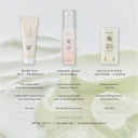 Beauty of Joseon Relief Sun: Rice+Probiotics SPF50+ which one is for yo