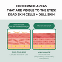 SKIN1004 Madagascar Centella Tea-Trica Spot Cream 20ml how it works